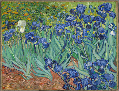 irises vincent van gogh (1889)
